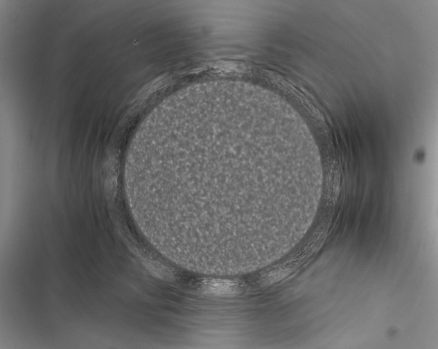 X0000116600710201001221258