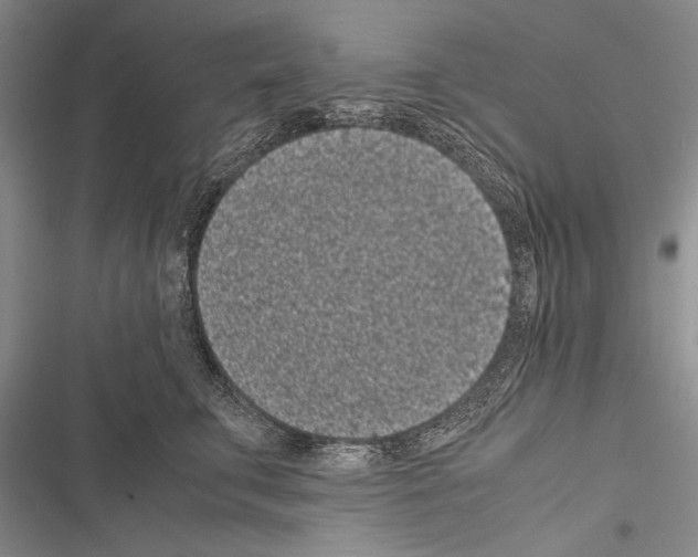 X0000116600711201001221258