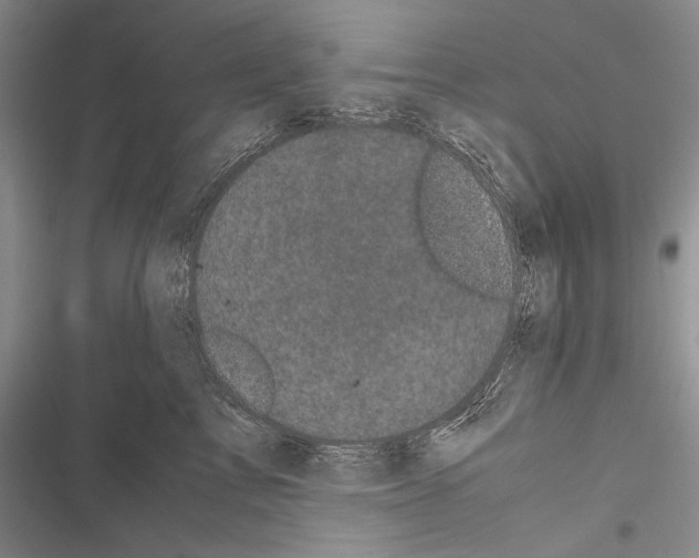 X0000116600713201001221258