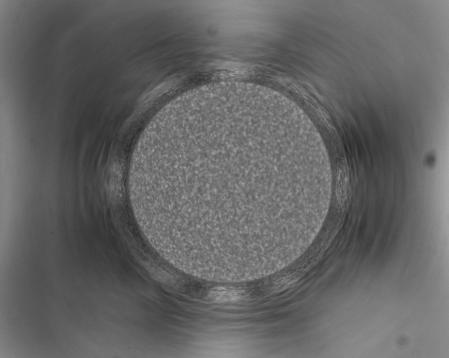 X0000116600714201001221258
