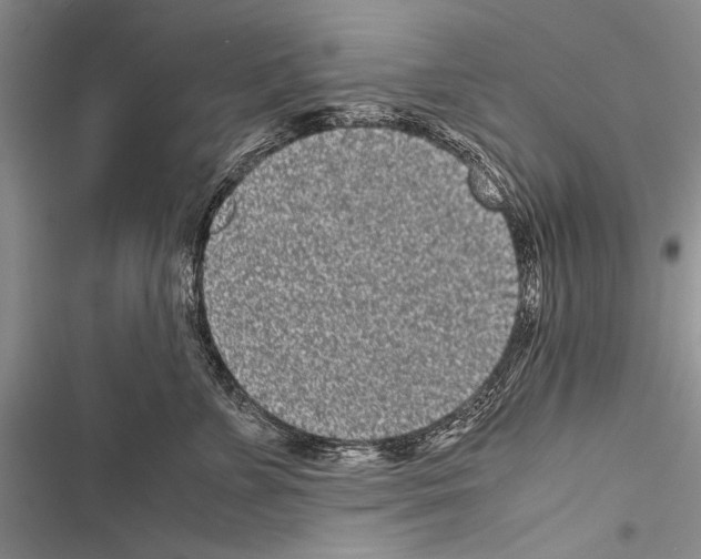 X0000116600715201001221258