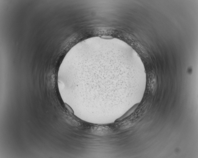 X0000116600716201001221258