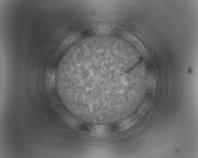 X0000116600717201001221258
