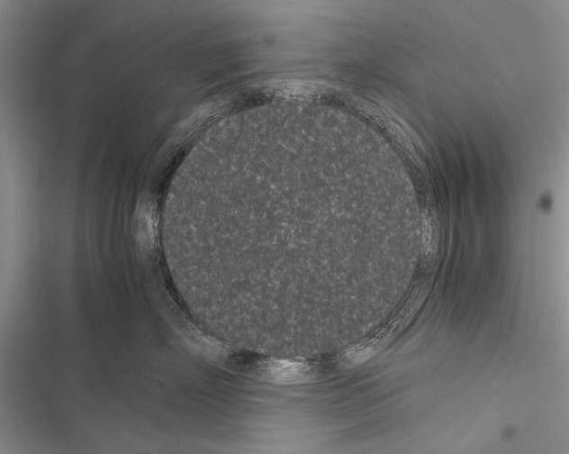 X0000116600718201001221258