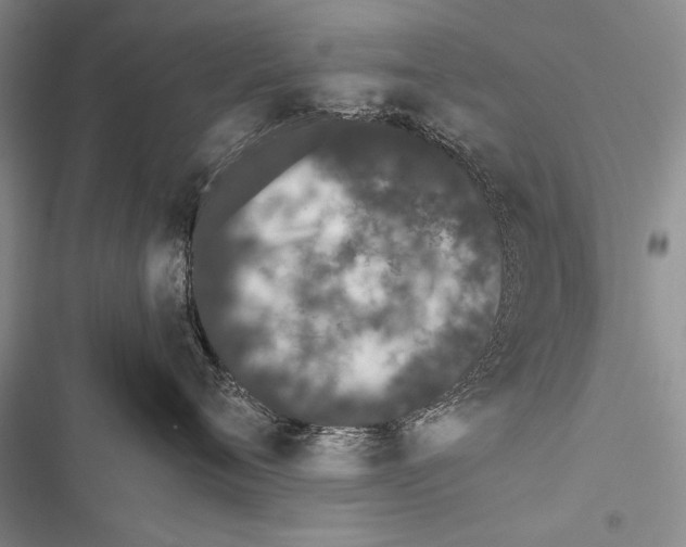 X0000116600720201001221258