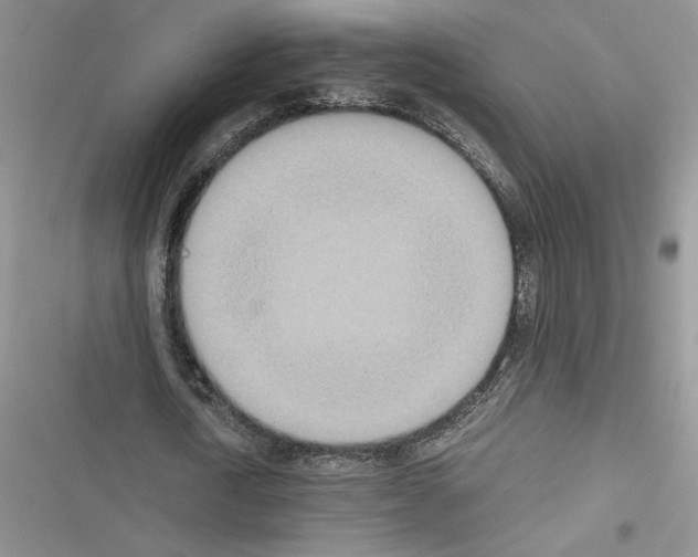 X0000116600722201001221257
