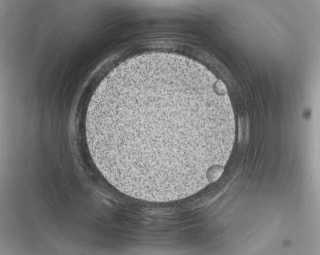X0000116600723201001221257