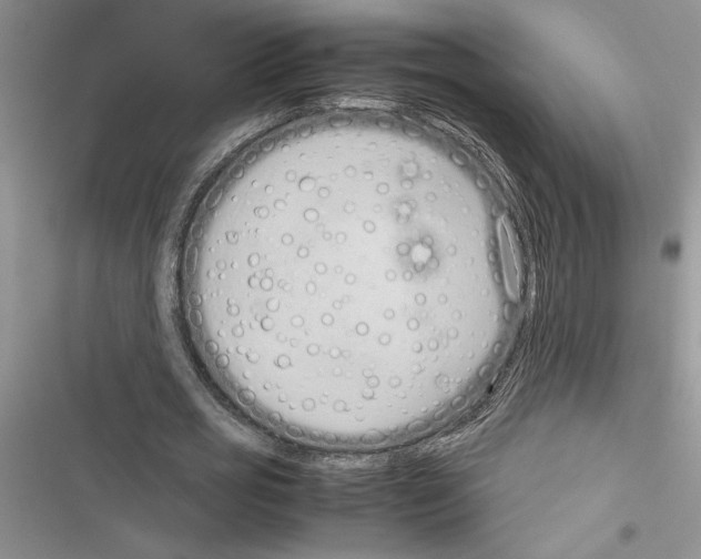X0000116600725201001221257