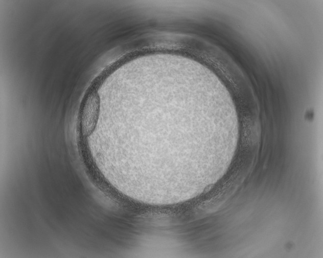 X0000116600726201001221257