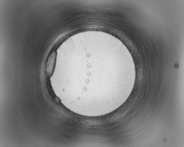 X0000116600727201001221257