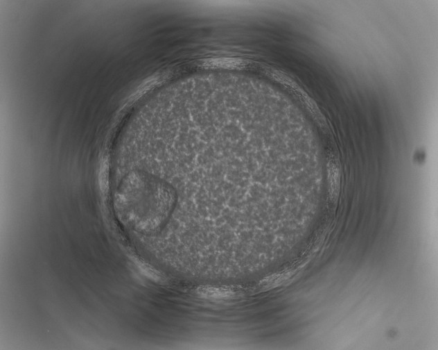 X0000116600729201001221257