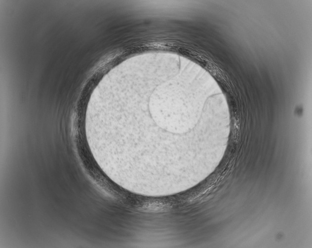 X0000116600734201001221257