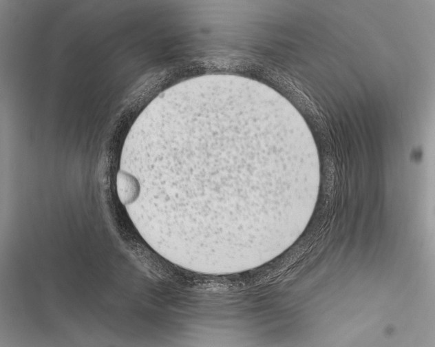 X0000116600738201001221257