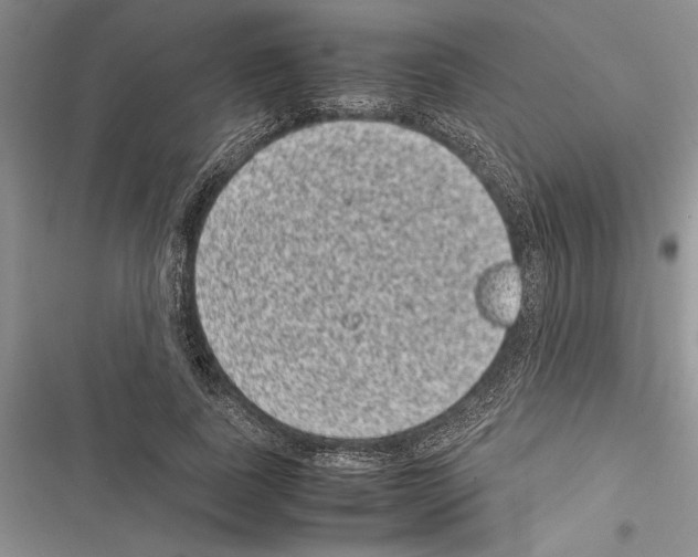 X0000116600739201001221257