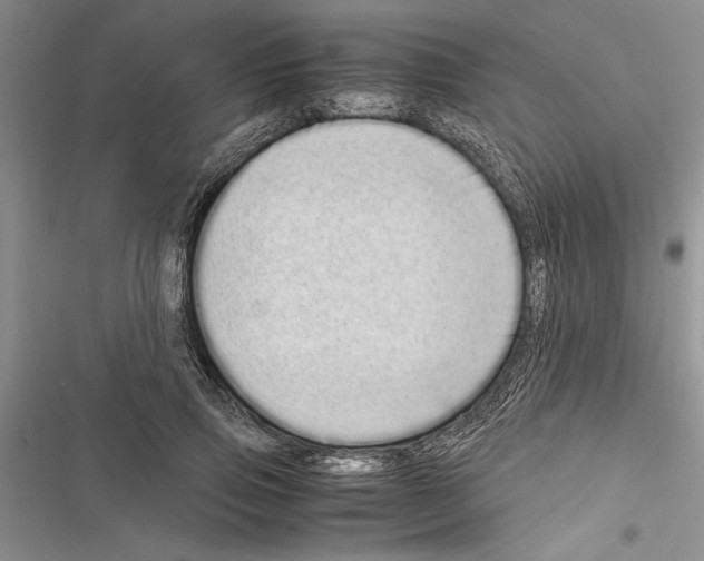 X0000116600741201001221257