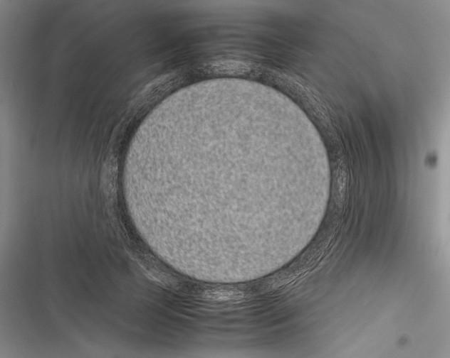 X0000116600745201001221257