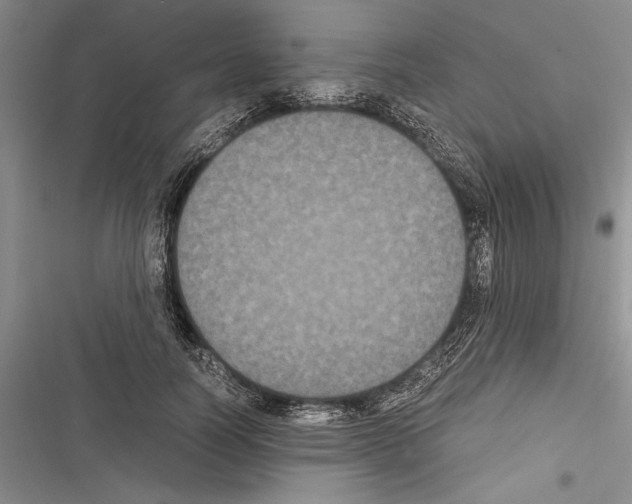 X0000116600746201001221257