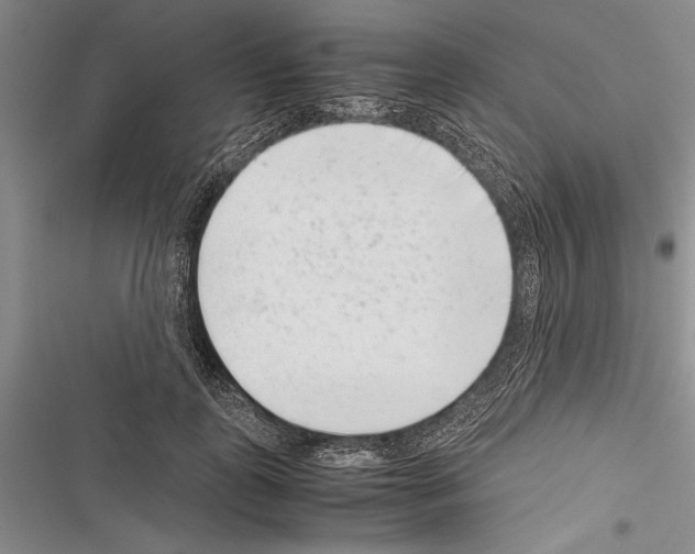X0000116600747201001221257