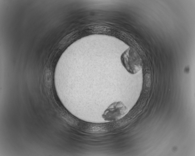 X0000116600753201001221257