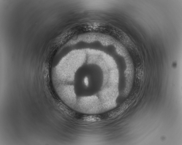 X0000116600754201001221257