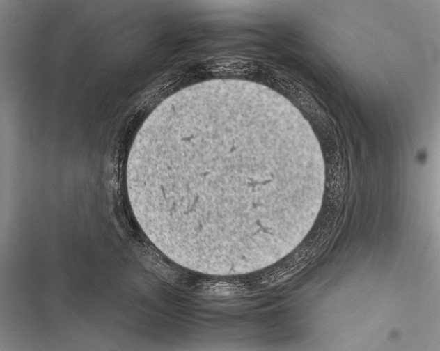 X0000116600755201001221257