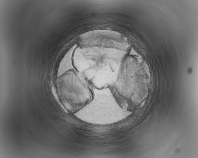 X0000116600757201001221257