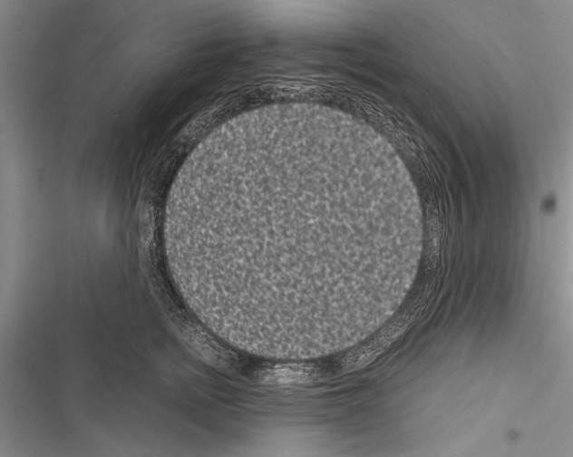 X0000116600758201001221257