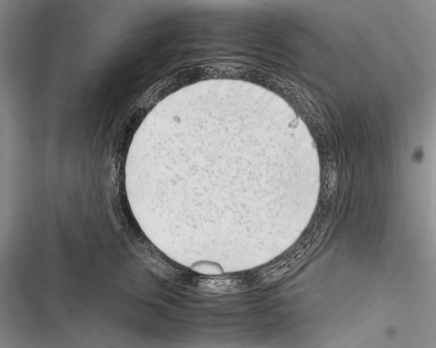 X0000116600759201001221257