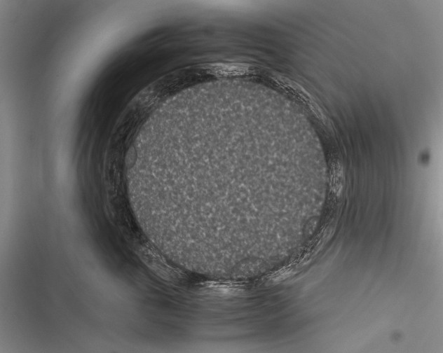 X0000116600763201001221257