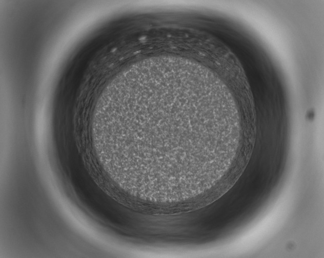 X0000116600766201001221257
