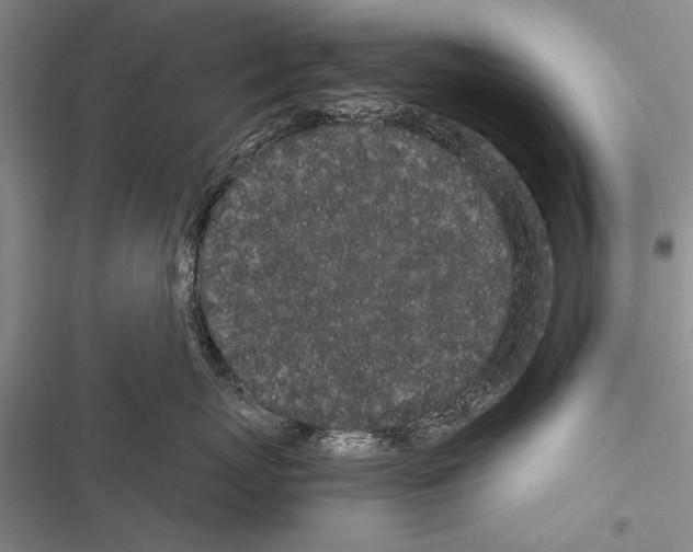 X0000116600767201001221257