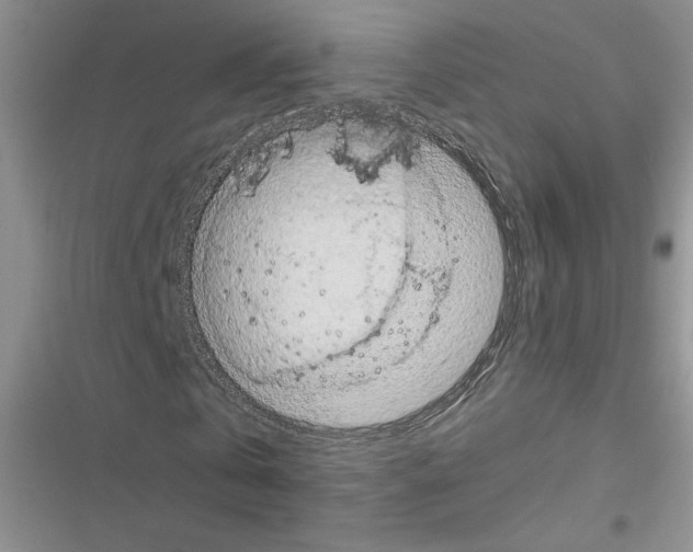 X0000116600769201001221257
