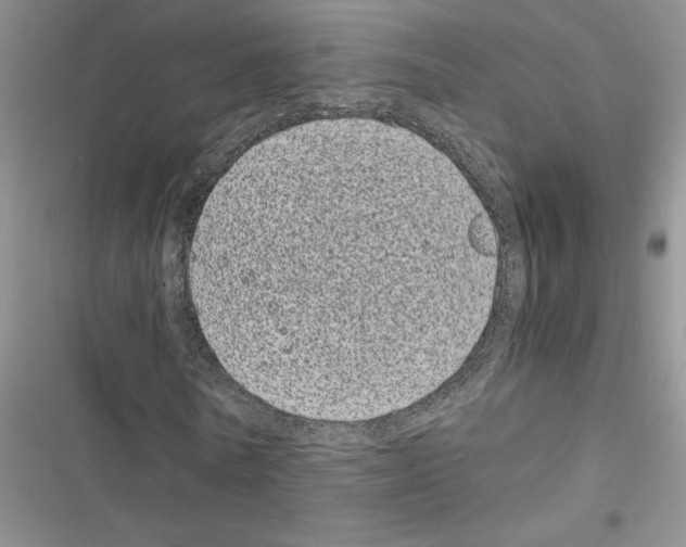 X0000116600770201001221257
