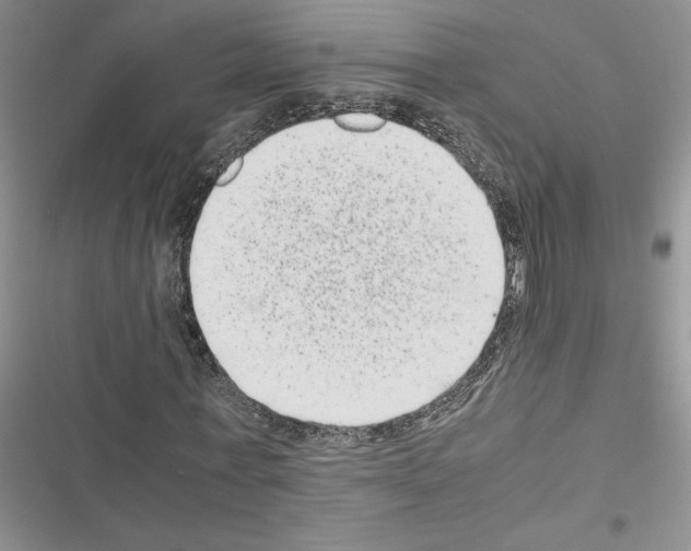 X0000116600771201001221257