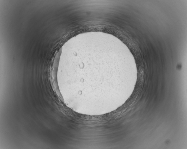 X0000116600772201001221257