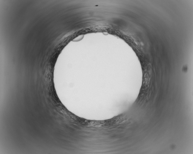 X0000116600773201001221257