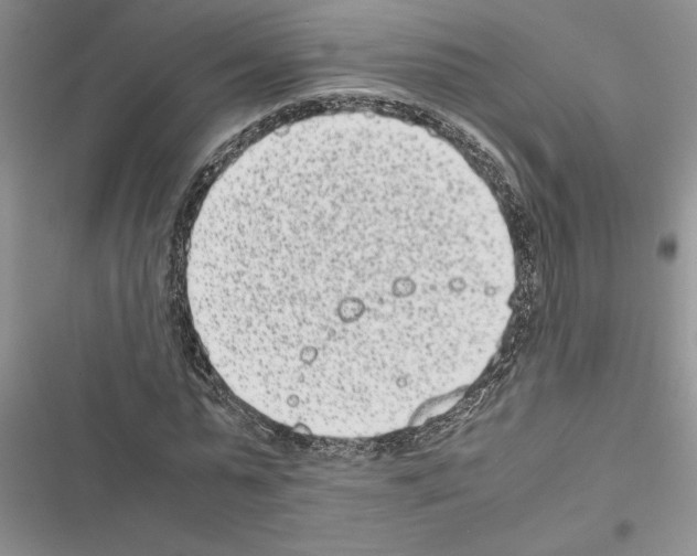 X0000116600775201001221257