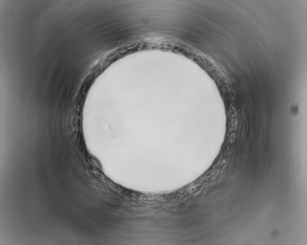 X0000116600776201001221257