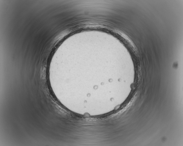 X0000116600777201001221257