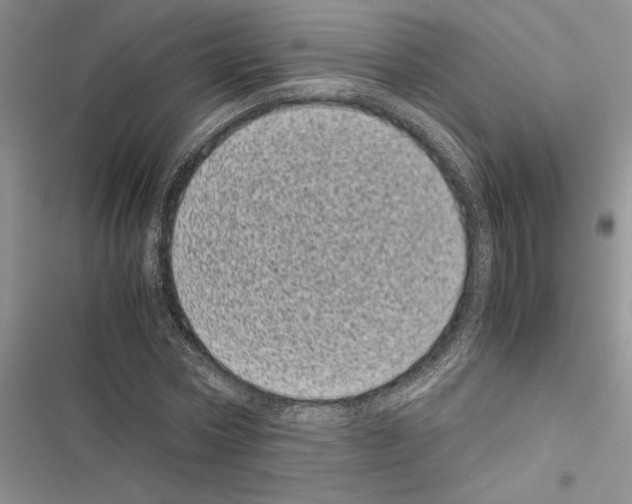 X0000116600778201001221257