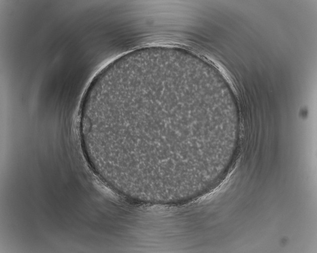 X0000116600779201001221257