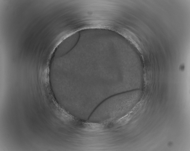 X0000116600781201001221257