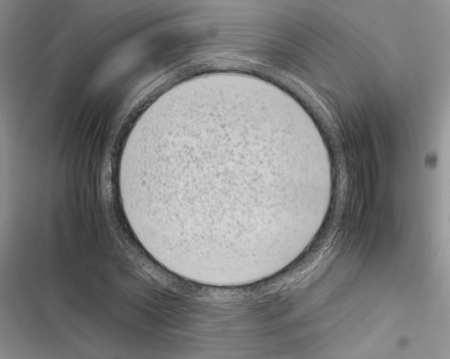 X0000116600782201001221257