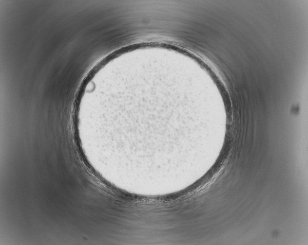X0000116600783201001221257