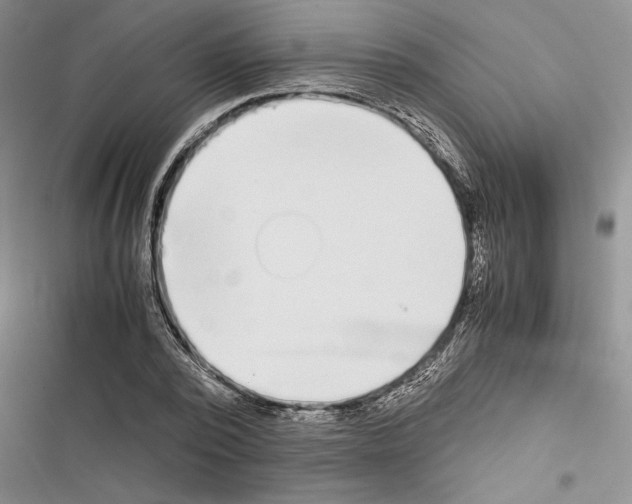 X0000116600784201001221257