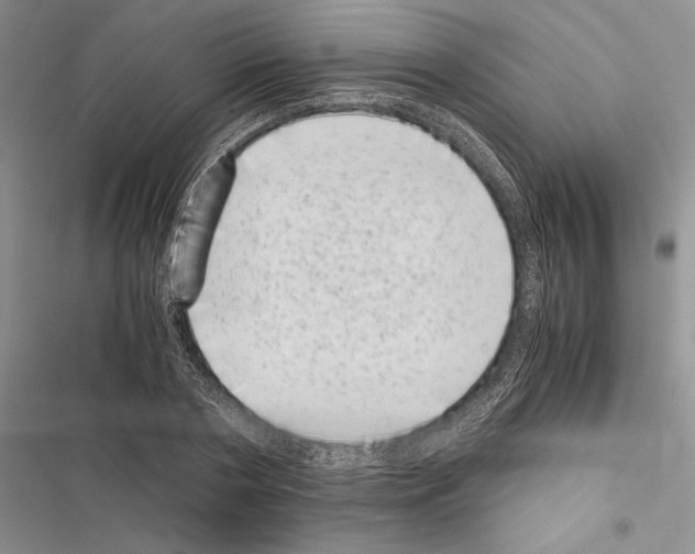 X0000116600786201001221257