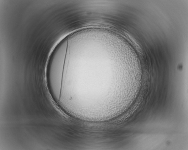 X0000116600788201001221257