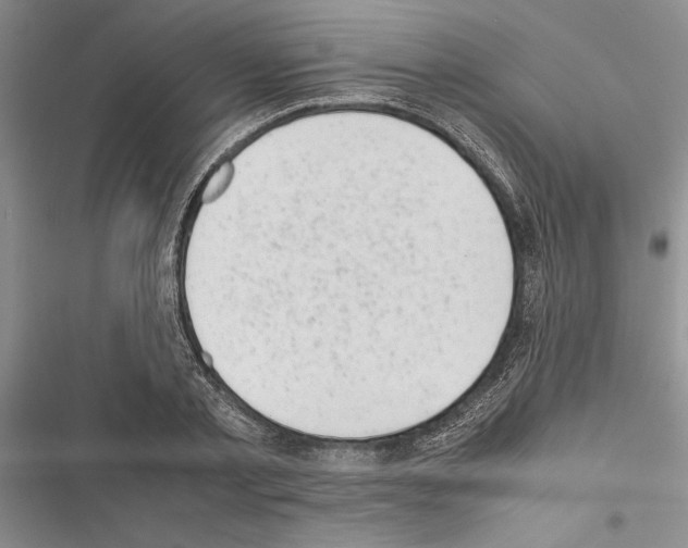 X0000116600789201001221257