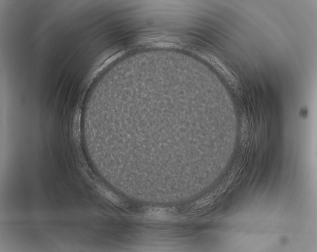 X0000116600790201001221257
