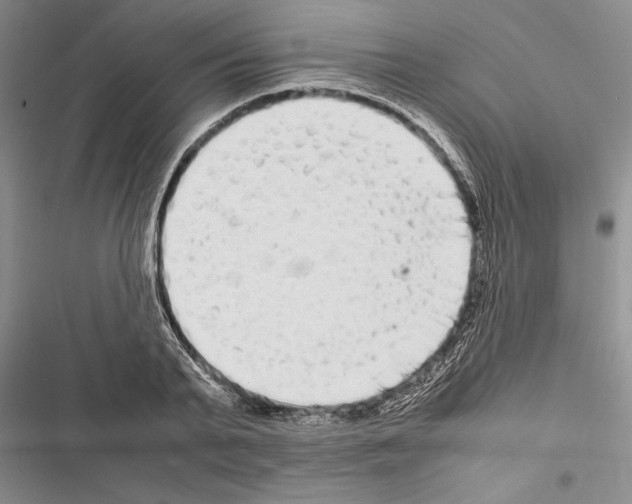 X0000116600791201001221257
